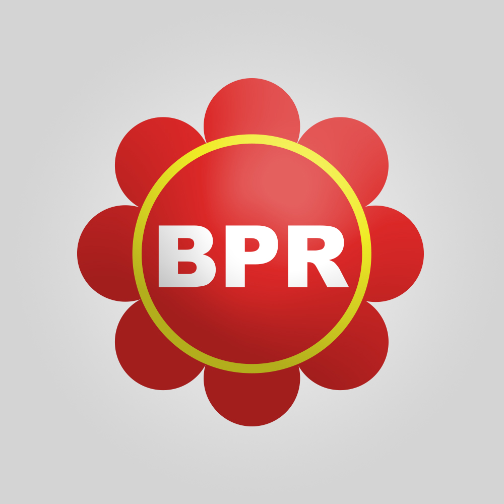 PT Bpr Saudaraku Logo