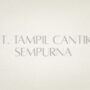 PT Tampil Cantik Sempurna Company Logo PT Tampil Cantik Sempurna Logo